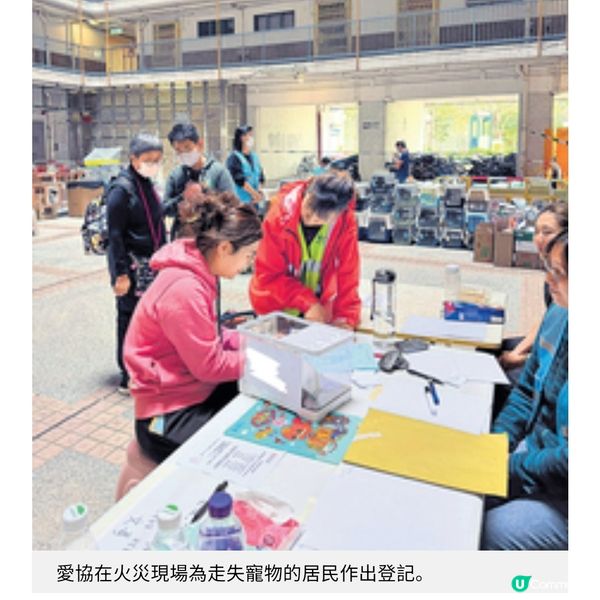 動保組織大埔災場無間斷拯救愛協持續支援情緒受困飼主走出陰霾