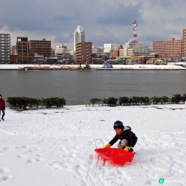 1.  新潟展望室，靚景任你睇！🌅免費入場！🤩