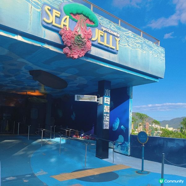 海洋公園｜親親小動物好去處🐢