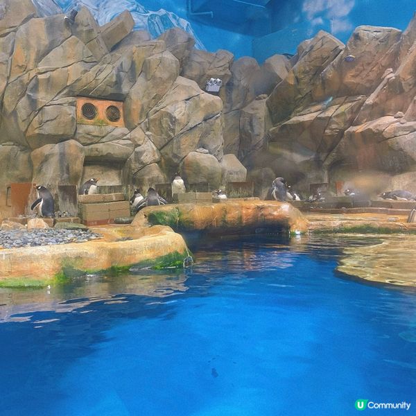 海洋公園｜親親小動物好去處🐢