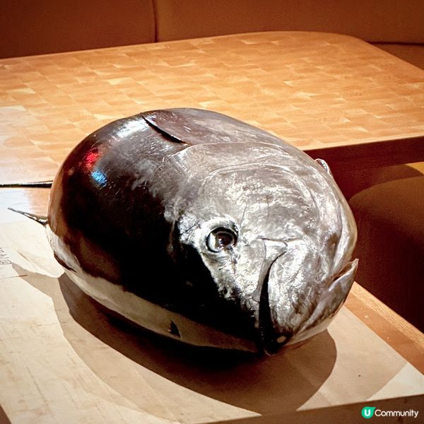 全新概念店@Sushi Raku & Bar