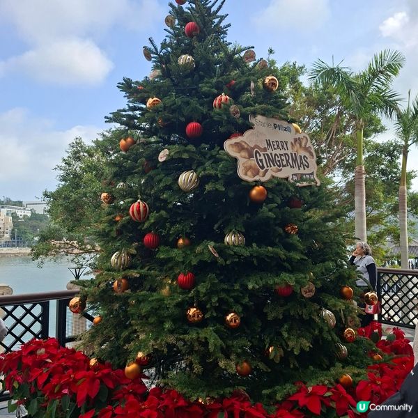 ✨️2025聖誕節好去處😍赤柱夠薑過聖誕市集分享🤭