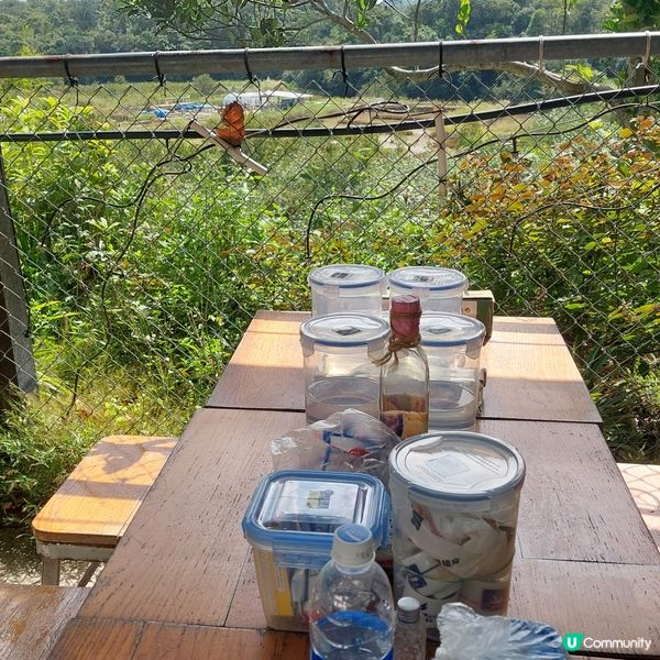 12月25日 Xmas 一齊chill 爆半日遊！🎄 