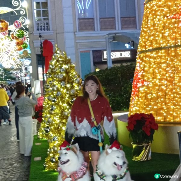 利東街聖誕嘉年華！🎄✨ 閃爆你眼球！