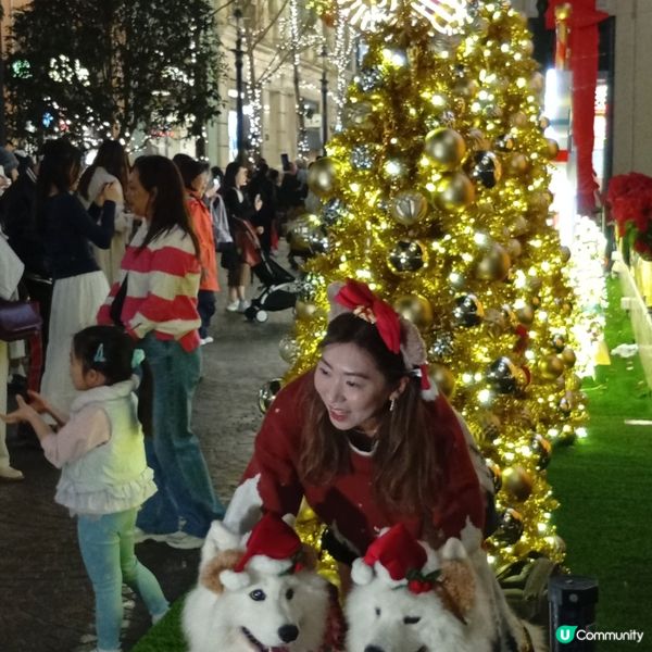 利東街聖誕嘉年華！🎄✨ 閃爆你眼球！