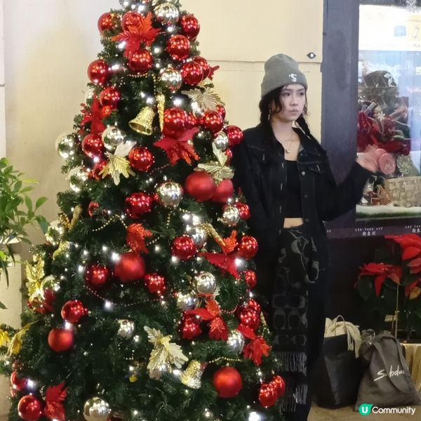 利東街聖誕嘉年華！🎄✨ 閃爆你眼球！