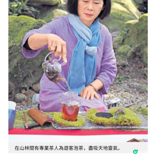 台灣茶藝美景遊由阿里山到台北茶園體驗