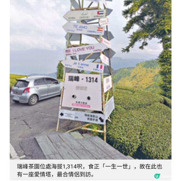 台灣茶藝美景遊由阿里山到台北茶園體驗