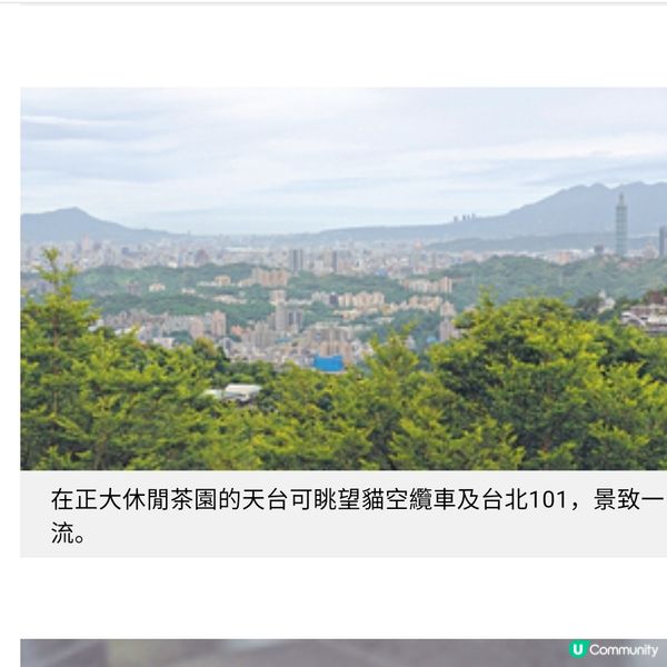 台灣茶藝美景遊由阿里山到台北茶園體驗