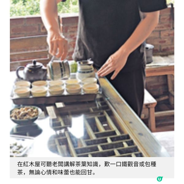 台灣茶藝美景遊由阿里山到台北茶園體驗