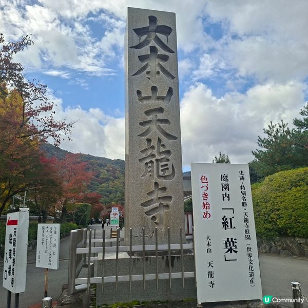 ✨日本京都嵐山竹林小徑逛行分享✨️附近景點美食分享😍