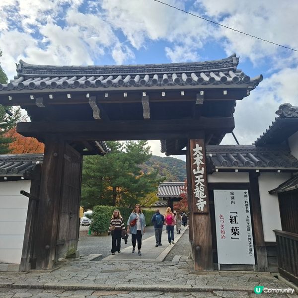 ✨日本京都嵐山竹林小徑逛行分享✨️附近景點美食分享😍