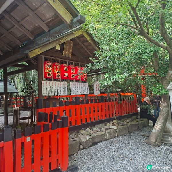 ✨日本京都嵐山竹林小徑逛行分享✨️附近景點美食分享😍