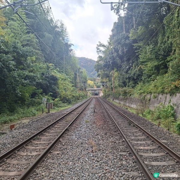 ✨日本京都嵐山竹林小徑逛行分享✨️附近景點美食分享😍