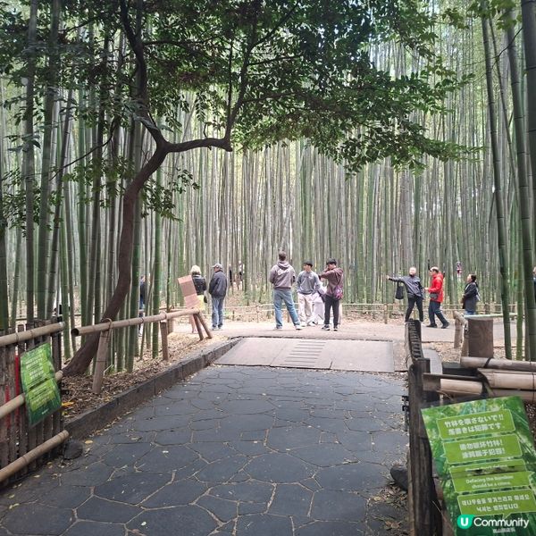 ✨日本京都嵐山竹林小徑逛行分享✨️附近景點美食分享😍