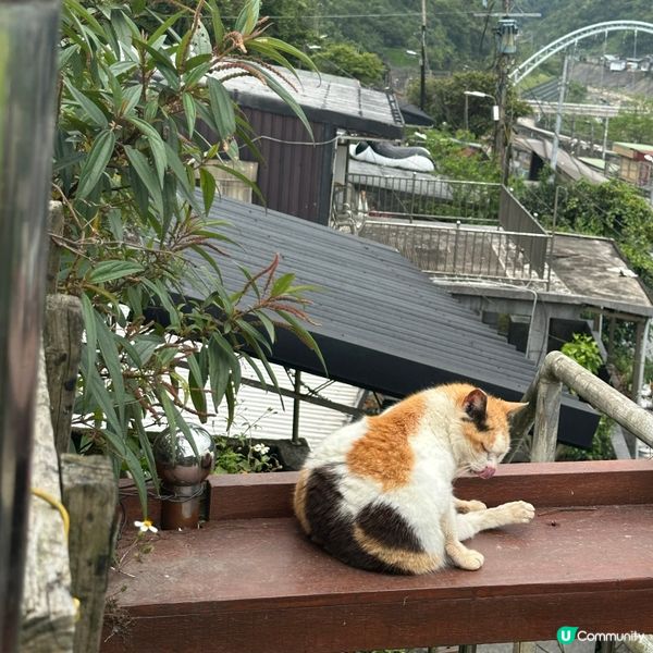菁桐