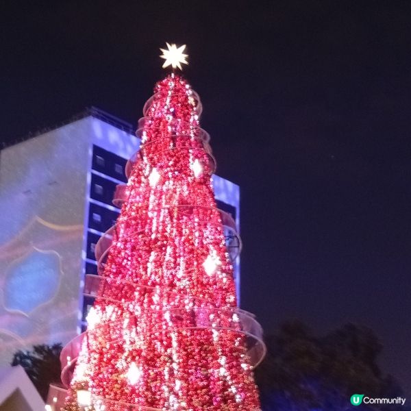  中環冬日小鎮🎄！20米高聖誕樹打卡📸！