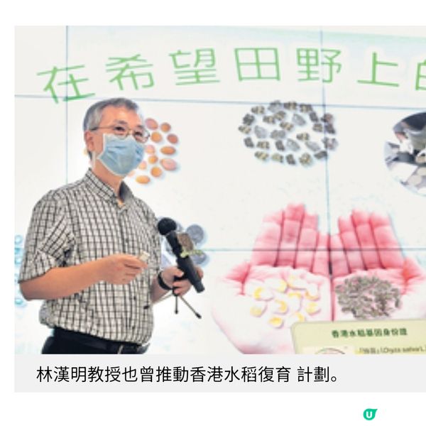 從徙置區到實驗室的大豆夢 林漢明教授不停步的科研人生