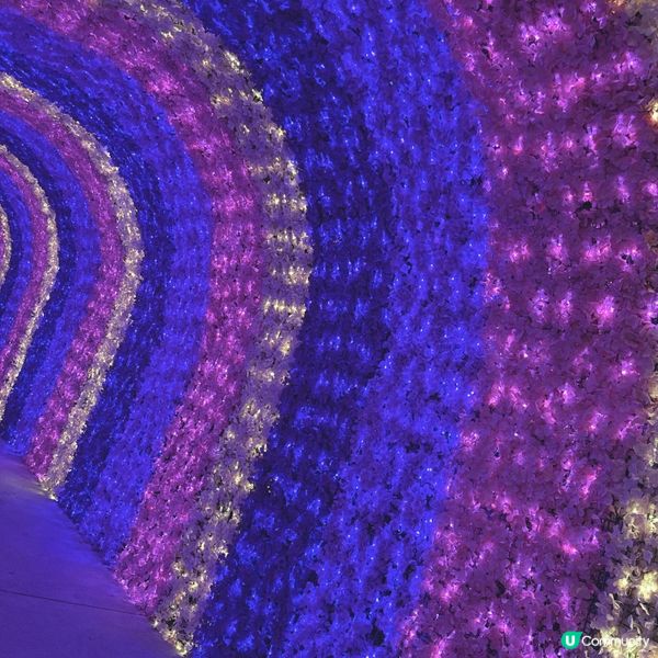 黑夜中色彩繽紛的彩燈，好有冬天嘅氣氛🥰🥰