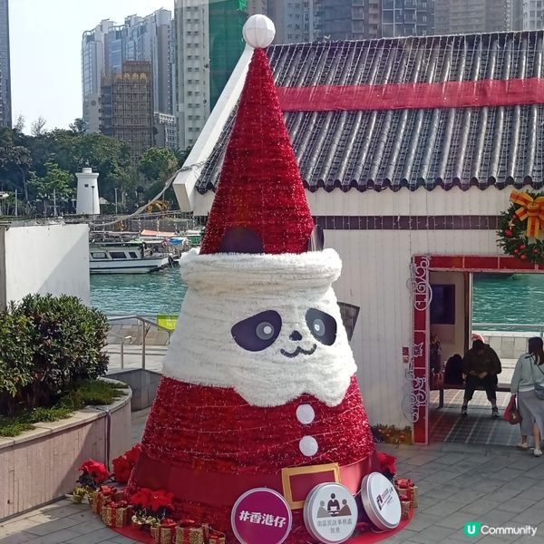 環保聖誕樹！廁紙筒都咁靚🤩 聖誕都要愛地球！