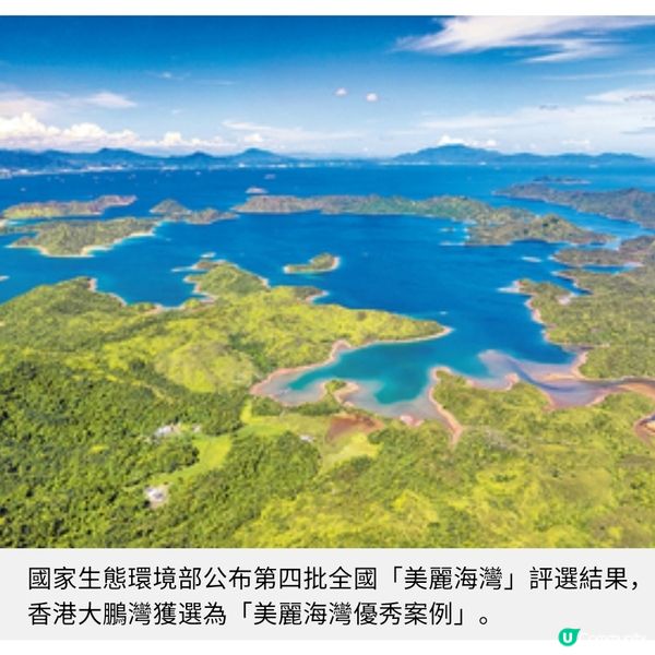 全國「美麗海灣」 港首列優秀案例大鵬灣獲表揚凸顯致力保護海洋