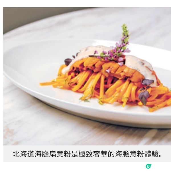 1111 ONES全新奢華單點菜單花膠龍蝦湯.北海道海膽扁意