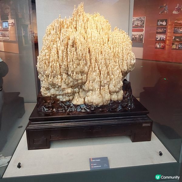 福建泉州必到～🗞⚱️中國閩台緣搏物館