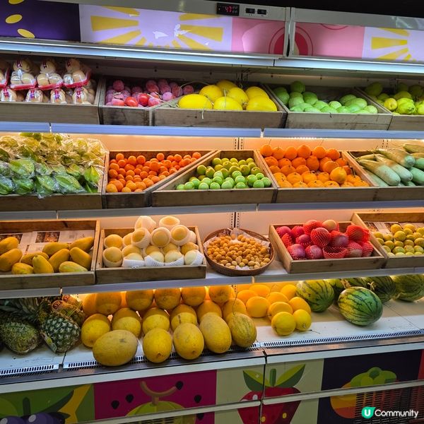 北上深圳玩足一天✨