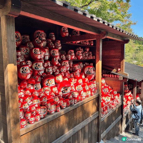 日本四國嗚門漩渦一生人一定要去一次，近距離觀看可以感受到視覺...