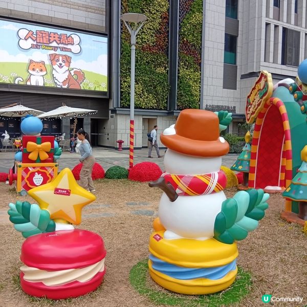 北角「甜夢精靈之森」🎄！小朋友放電必去！🏃‍♀️