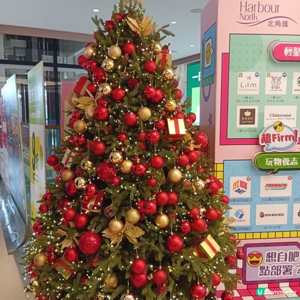 北角「甜夢精靈之森」🎄！小朋友放電必去！🏃‍♀️