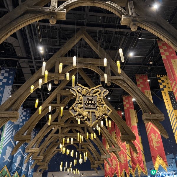 充滿魔法的世界🧙🏻東京之行必去景點之一 大型主題樂園｢東京華...