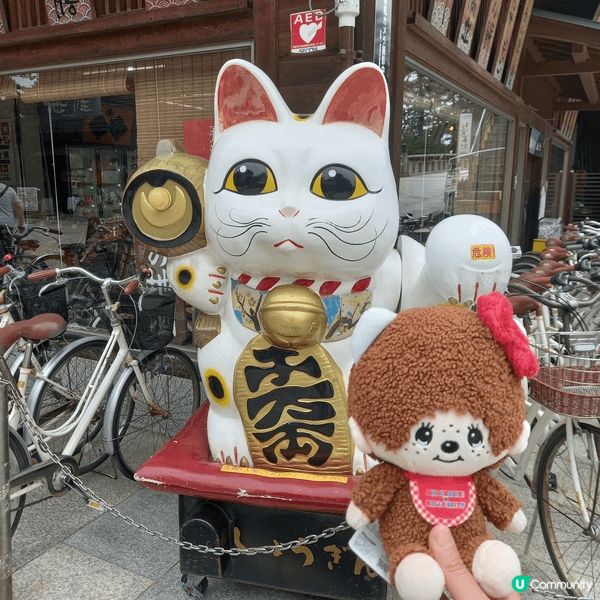 日本實在太多美景，希望其他人暫時去唔到都可以欣賞到。