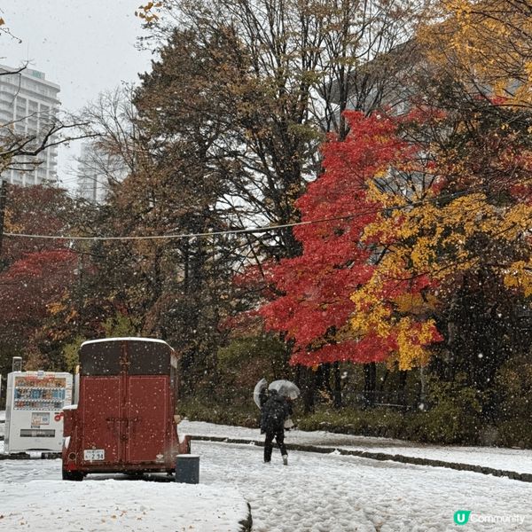 日本北海道，秋天冬天接軌嘅季節，銀杏、紅葉、落雪，堆砌出與別...