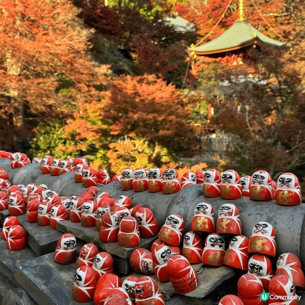 勝尾寺睇紅葉真係一絕！