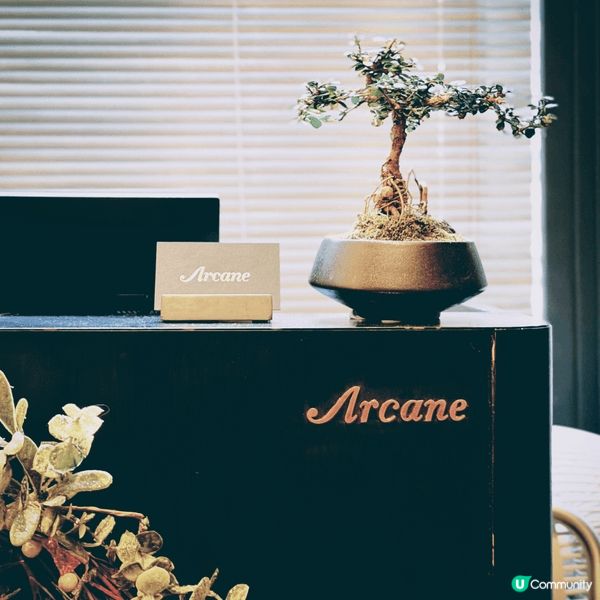 米芝蓮一星餐Arcane，環境好舒適服務不錯，食物質素係重點...