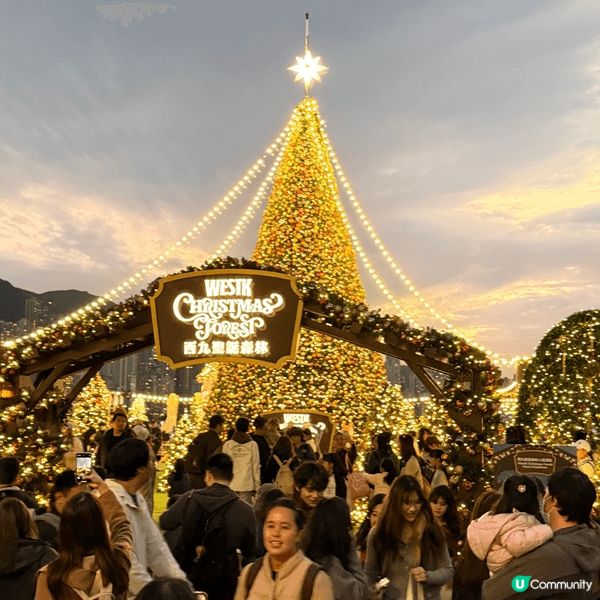 西九文化區藝術公園夜色迷人，是觀賞維港夜景的絕佳地點🤩越北餐...