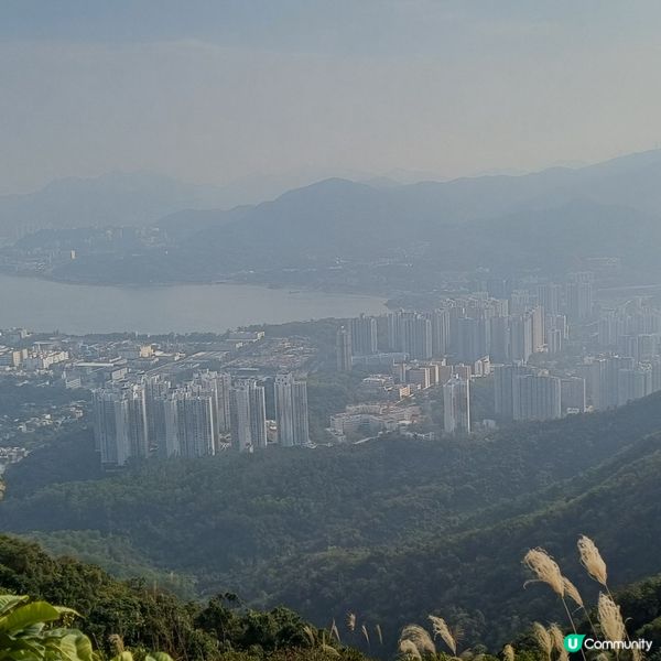 大埔頭去九龍坑山