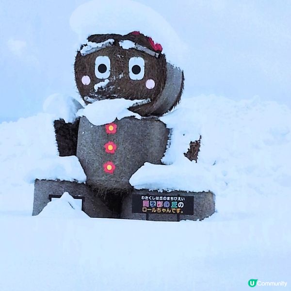 四季彩之丘❄️變身銀白仙境！玩雪攻略☃️
