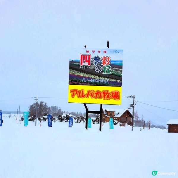 四季彩之丘❄️變身銀白仙境！玩雪攻略☃️