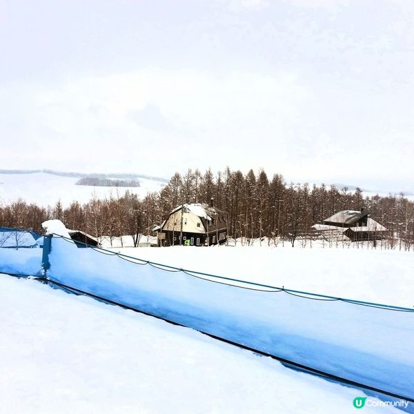 四季彩之丘❄️變身銀白仙境！玩雪攻略☃️