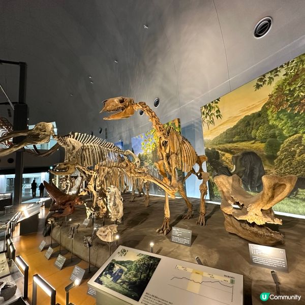 福井恐龍博物館