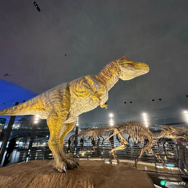 福井恐龍博物館