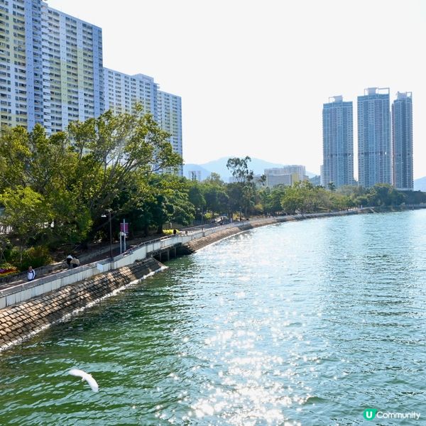 沙田城門河畔景觀