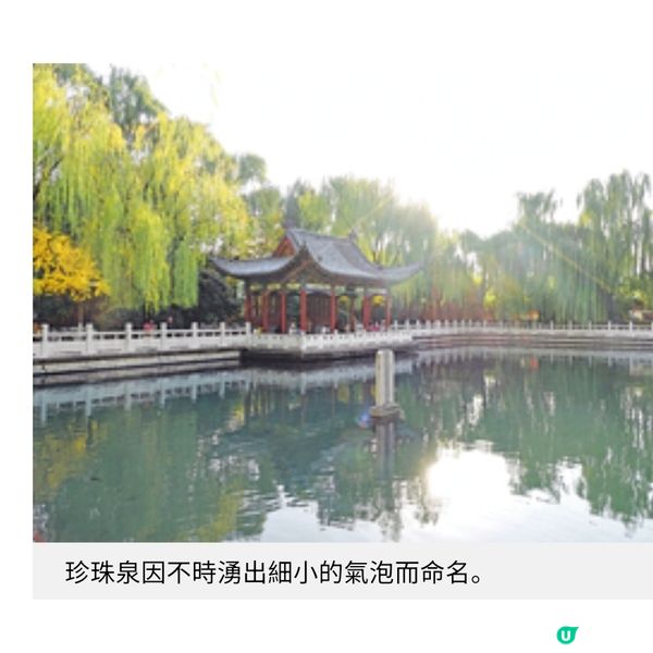 山東煙台舌尖之旅 嘗手擀鹼麵老城滋味