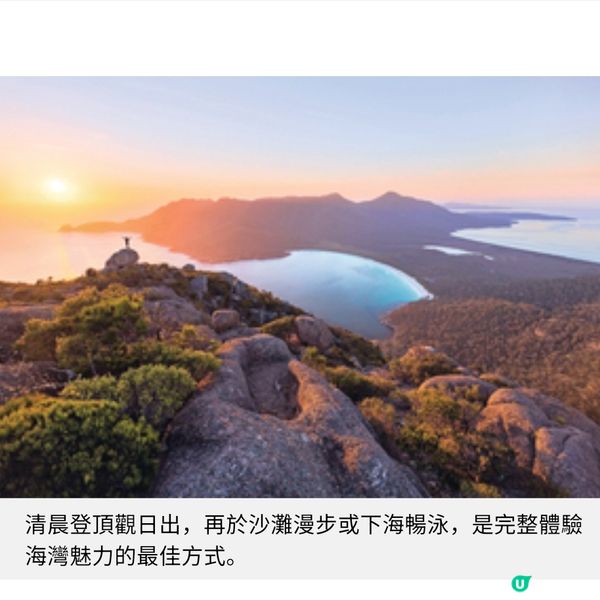 塔斯曼尼亞夏遊推介 南半球最美薰衣草花田