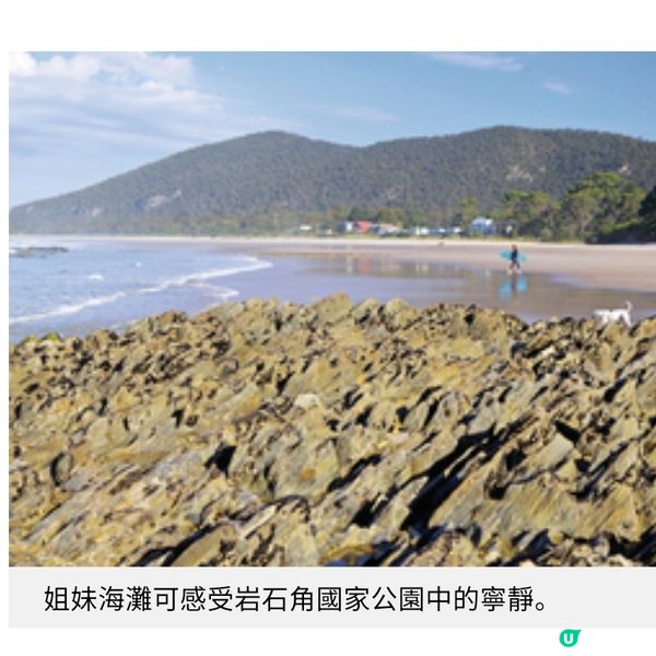 塔斯曼尼亞夏遊推介 南半球最美薰衣草花田