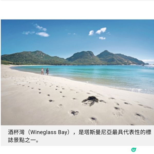 塔斯曼尼亞夏遊推介 南半球最美薰衣草花田