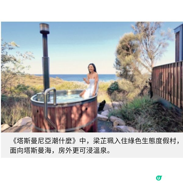 塔斯曼尼亞夏遊推介 南半球最美薰衣草花田