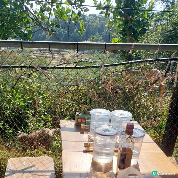 西貢離島遊！🌊 2026年爆玩半日！🥳